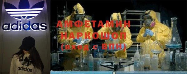 ешки Алексин