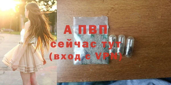 ешки Алексин