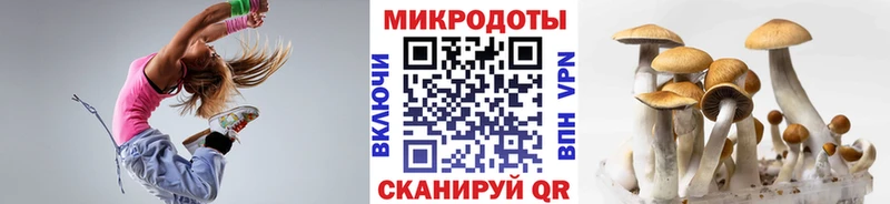 Псилоцибиновые грибы GOLDEN TEACHER  Абаза 